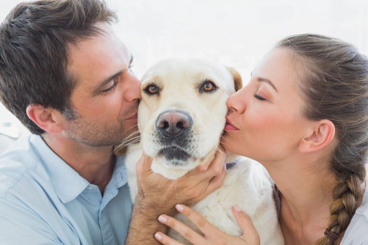 Dog getting kissed from its owners.