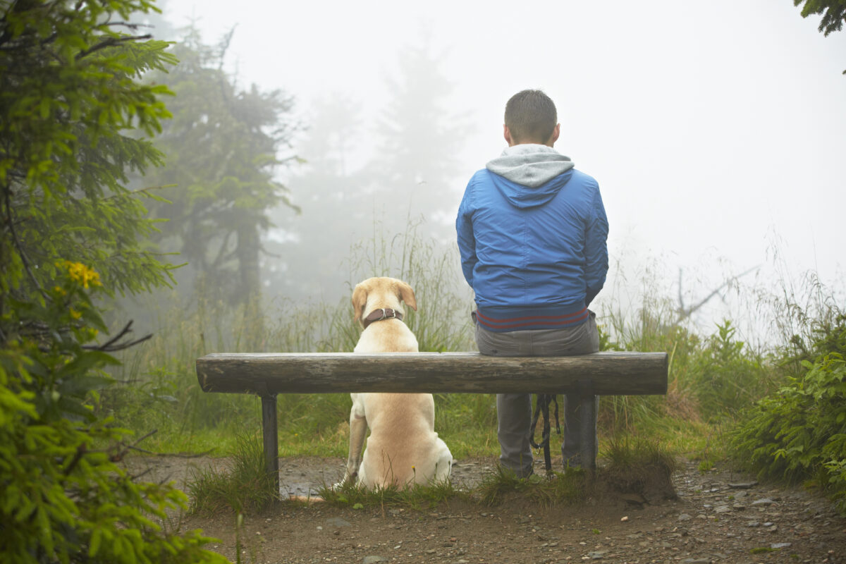 Man and dog sitting on hiking trail bench, 