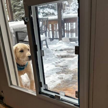 Pet Door Through Glass